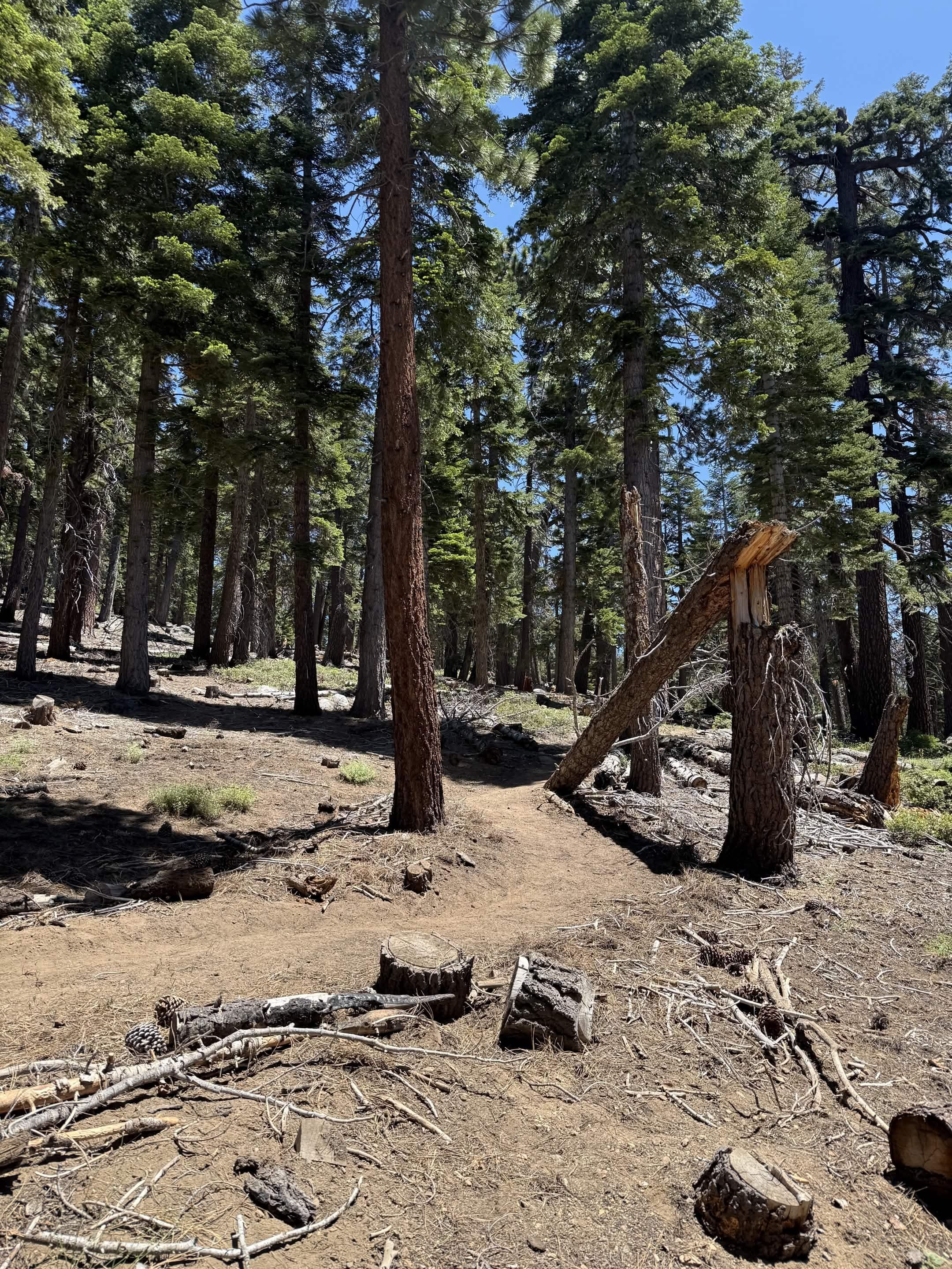 Picture of a trail